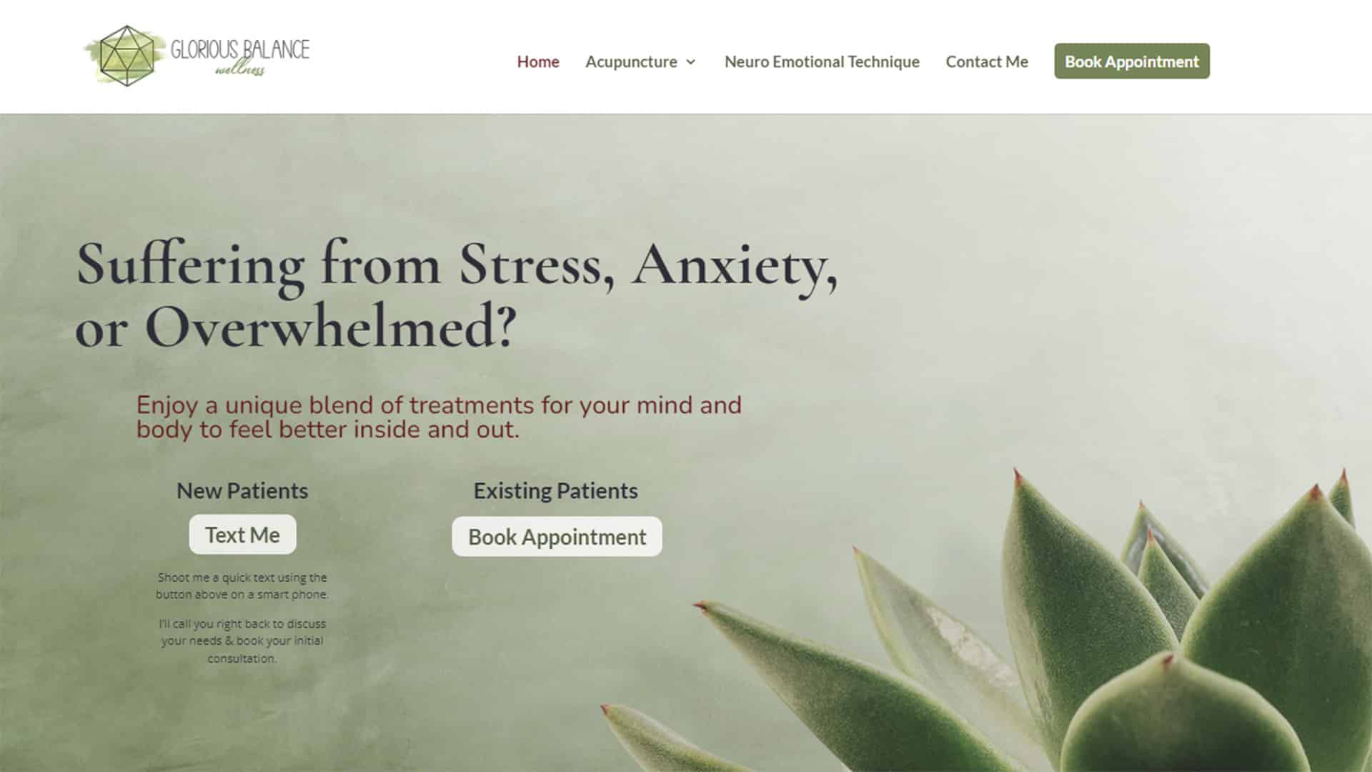 Acupuncture Clinic in San Diego, CA